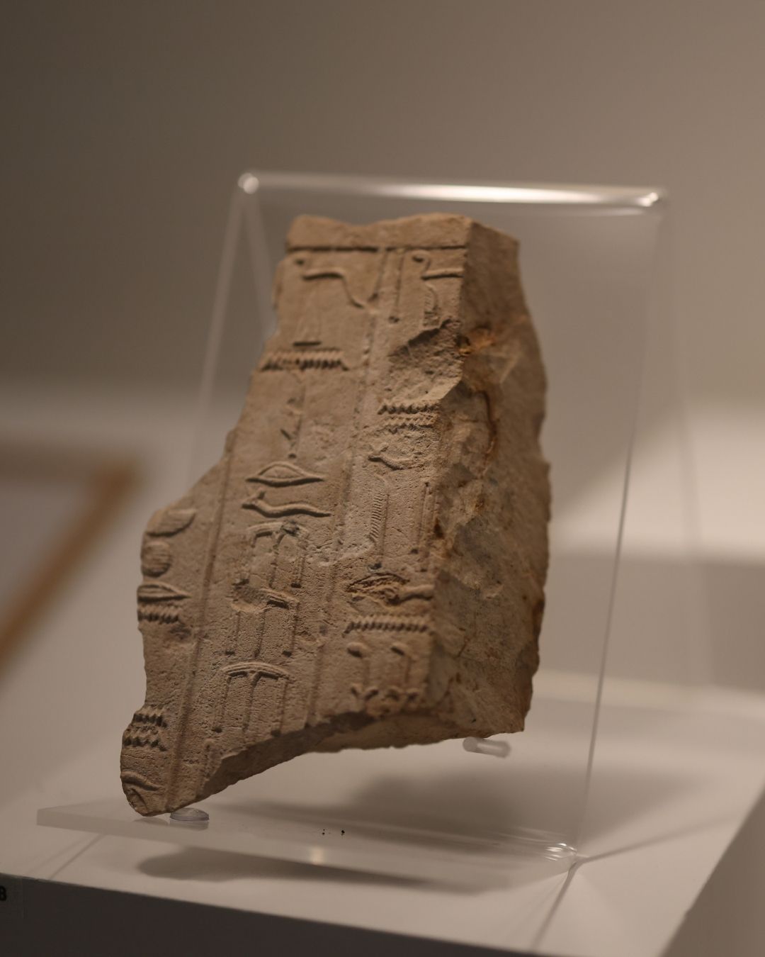 soluzioni-led-per-beni-culturali.jpg