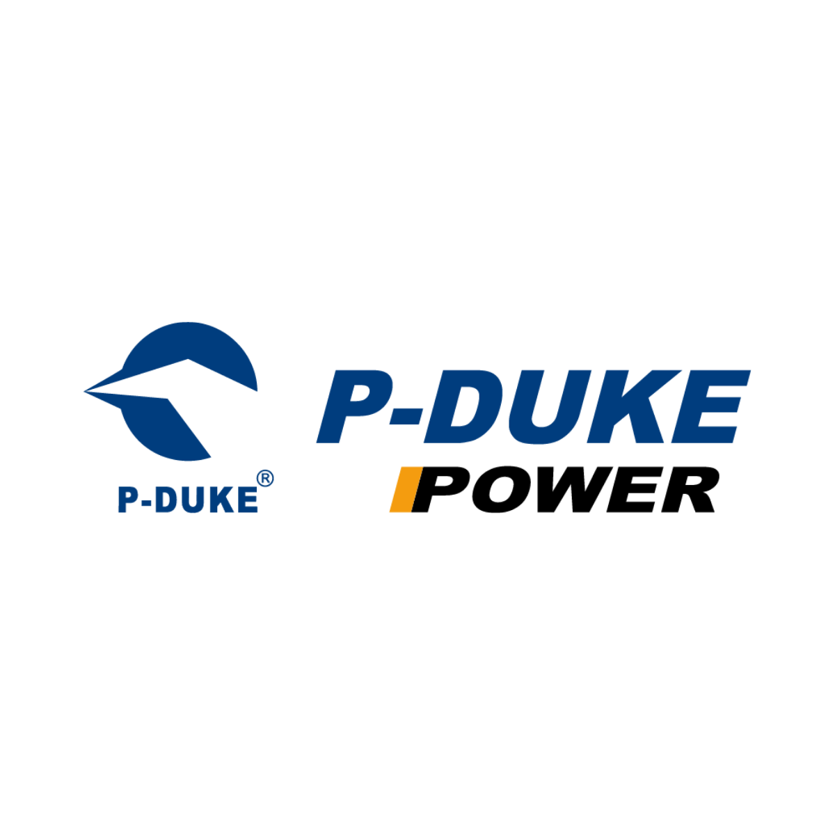 P-DUKE TECHNOLOGY