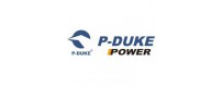 P-Duke si concentra completamente su ricerca, sviluppo, produzione e vendita di convertitori DC/DC e dei prodotti correlati