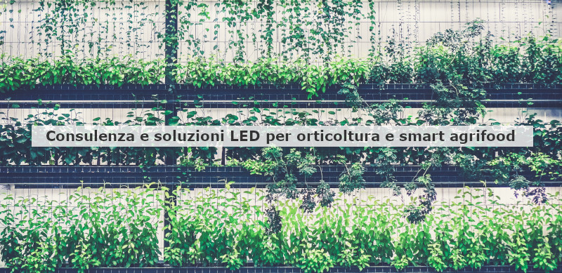 Consulenza e soluzioni LED per orticoltura e smart agrifood